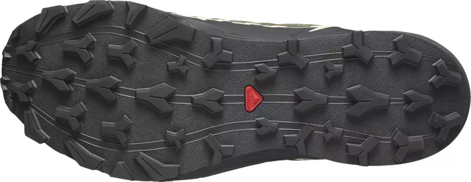 Trail-Schuhe Salomon THUNDERCROSS GTX