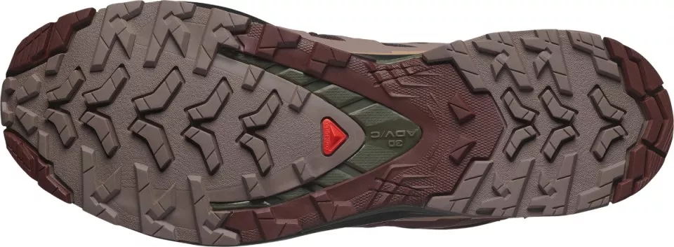 Trail-Schuhe Salomon XA PRO 3D V9 GTX