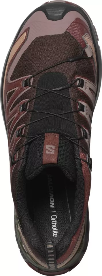 Trail-Schuhe Salomon XA PRO 3D V9 GTX