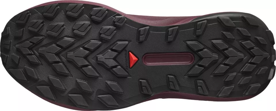 Trail-Schuhe Salomon GENESIS GTX W