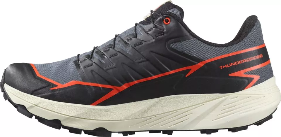 Trail shoes Salomon THUNDERCROSS GTX