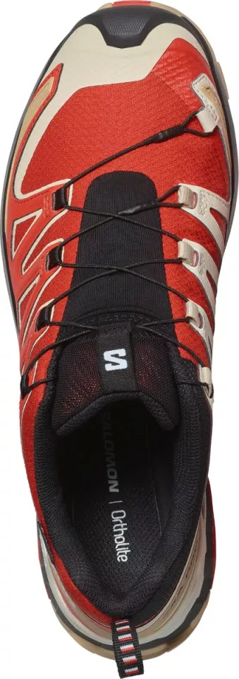 Trail-Schuhe Salomon XA PRO 3D V9 GTX