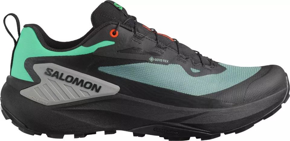 Trail schoenen Salomon GENESIS GTX