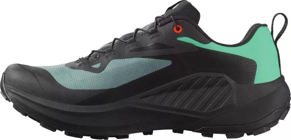Trail schoenen Salomon GENESIS GTX