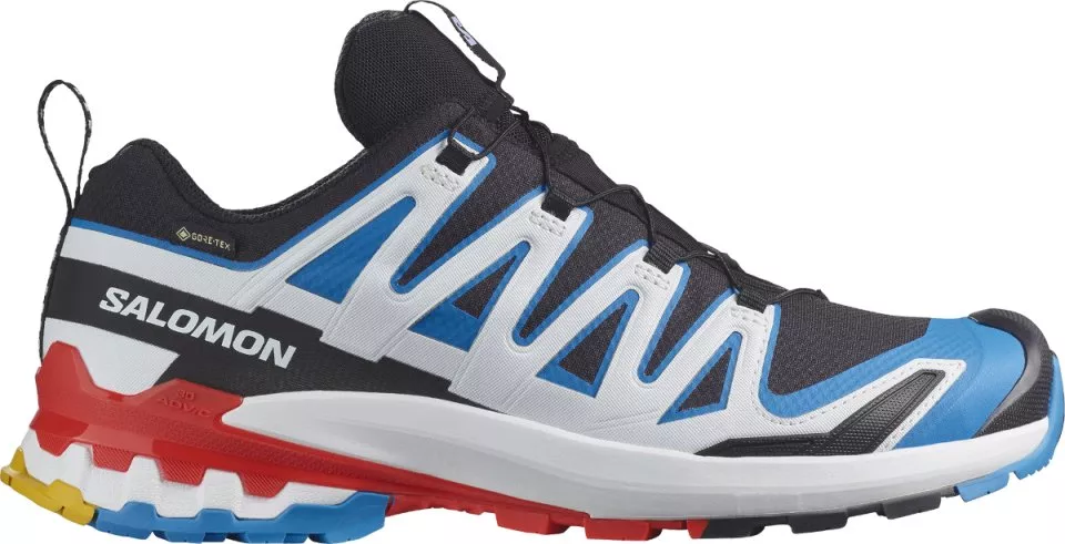 Trail-Schuhe Salomon XA PRO 3D V9 GTX