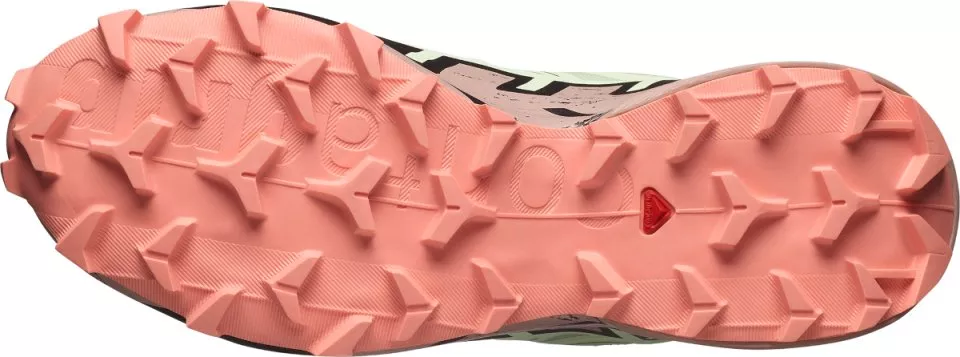 Scarpe per sentieri Salomon SPEEDCROSS 6 GTX W