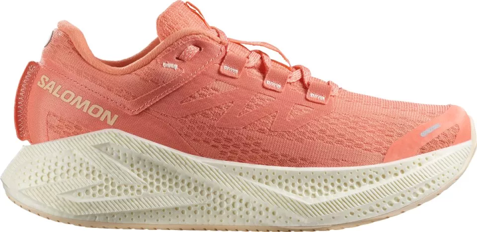 Laufschuhe Salomon AERO GLIDE 3 W