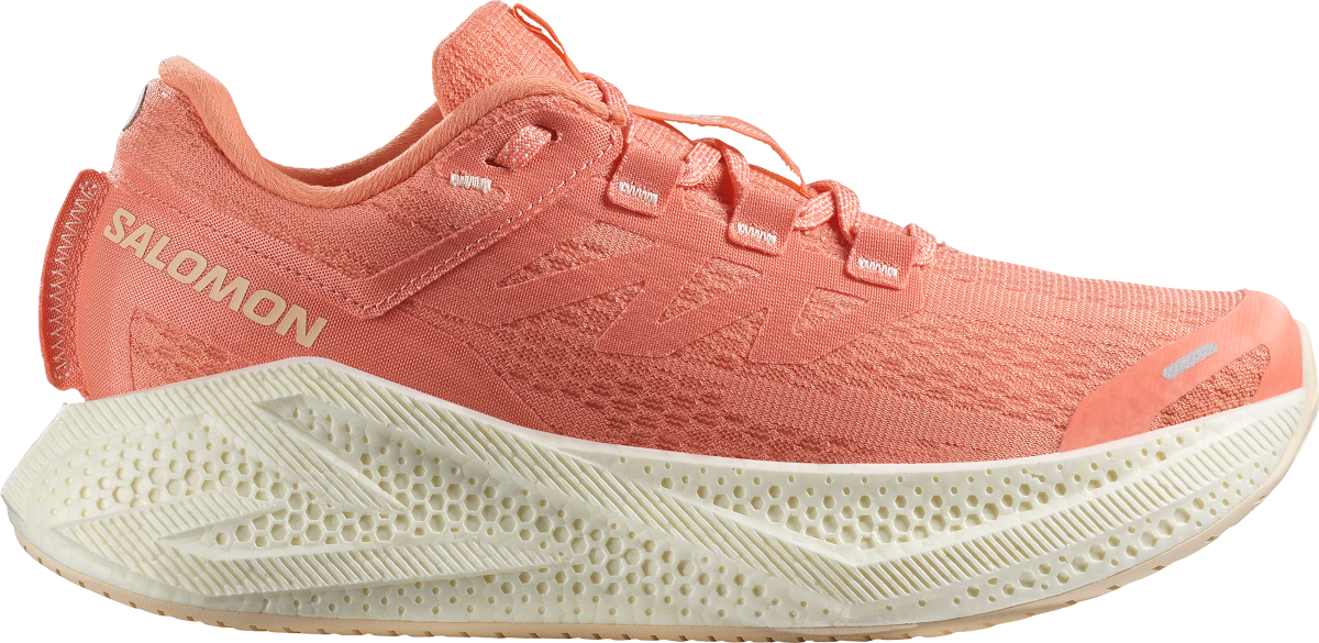 Laufschuhe Salomon AERO GLIDE 3 W