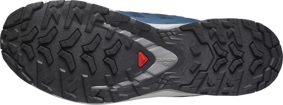Trail-Schuhe Salomon XA PRO 3D V9