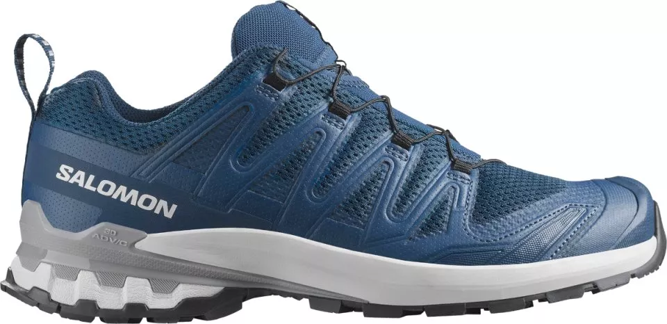 Trail-Schuhe Salomon XA PRO 3D V9