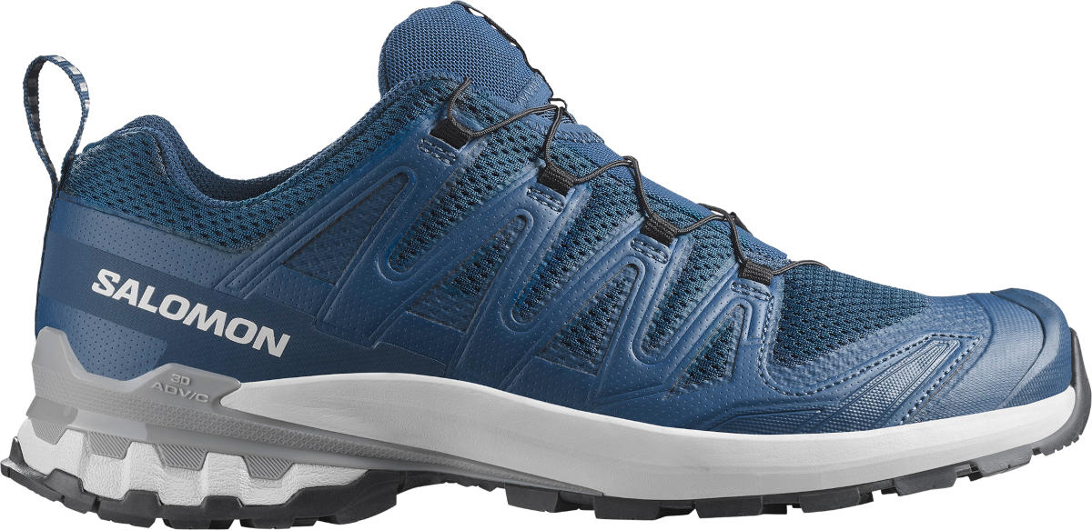 Trail-Schuhe Salomon XA PRO 3D V9