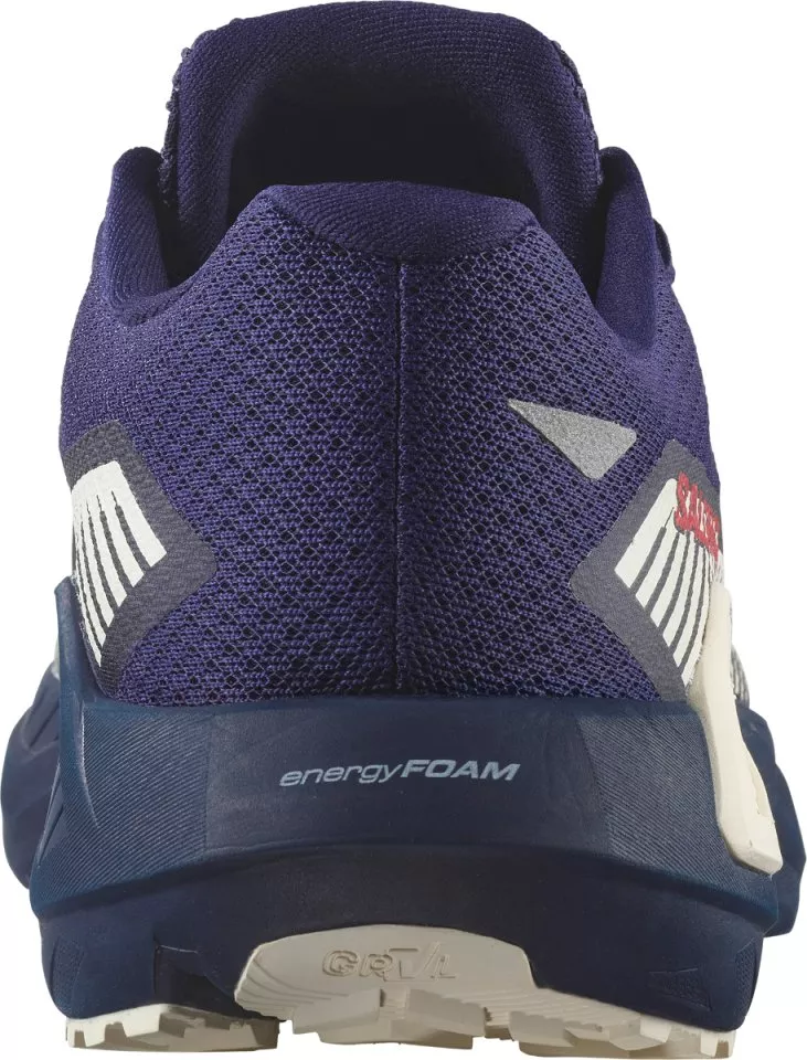 Laufschuhe Salomon DRX DEFY GRVL