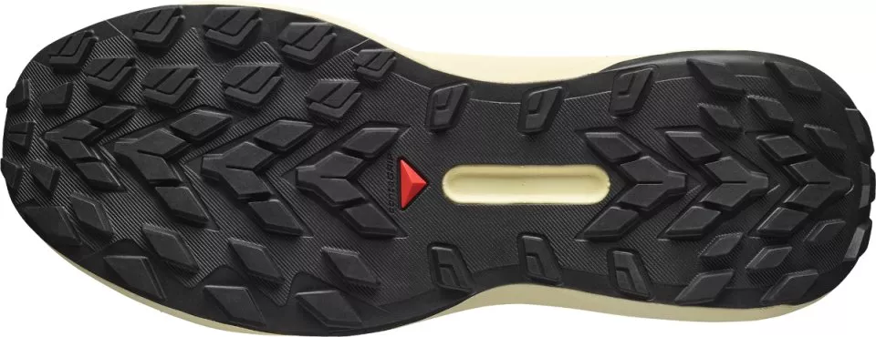 Trail shoes Salomon GENESIS