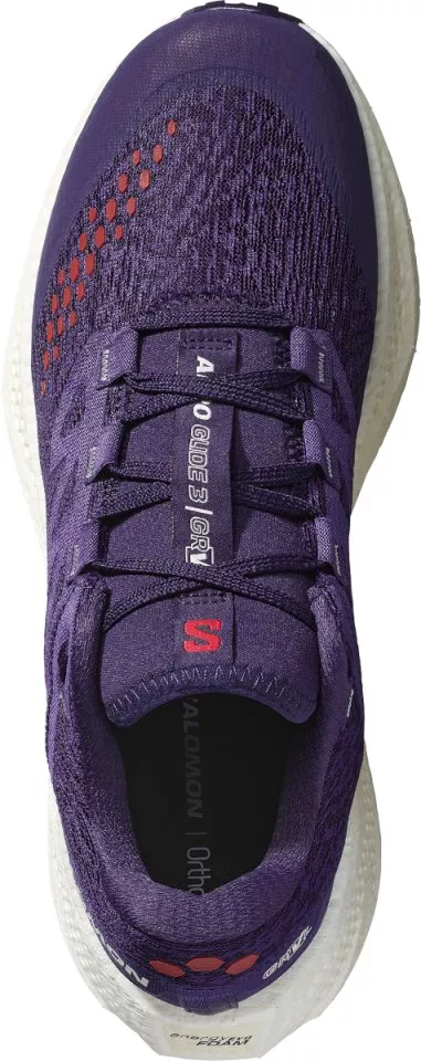 Laufschuhe Salomon AERO GLIDE 3 GRVL