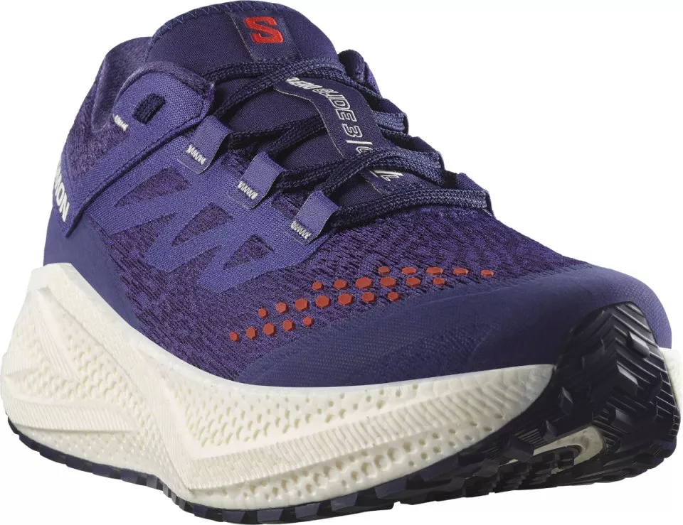 Laufschuhe Salomon AERO GLIDE 3 GRVL