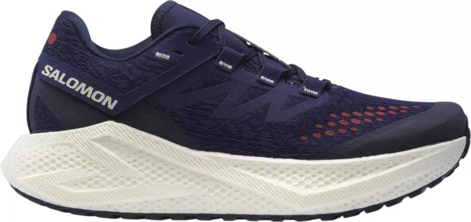 Hardloopschoen Salomon AERO GLIDE 3 GRVL