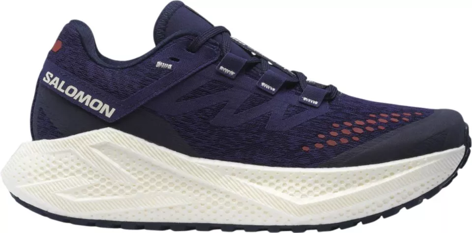 Hardloopschoen Salomon AERO GLIDE 3 GRVL W