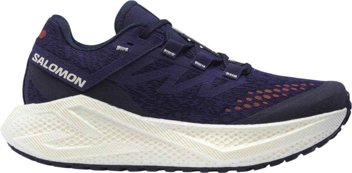 Hardloopschoen Salomon AERO GLIDE 3 GRVL W