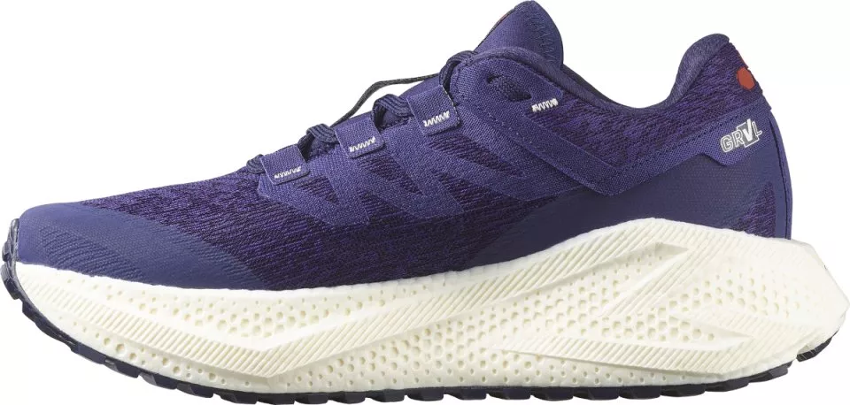 Hardloopschoen Salomon AERO GLIDE 3 GRVL W