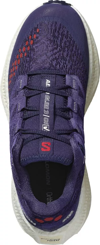Hardloopschoen Salomon AERO GLIDE 3 GRVL W