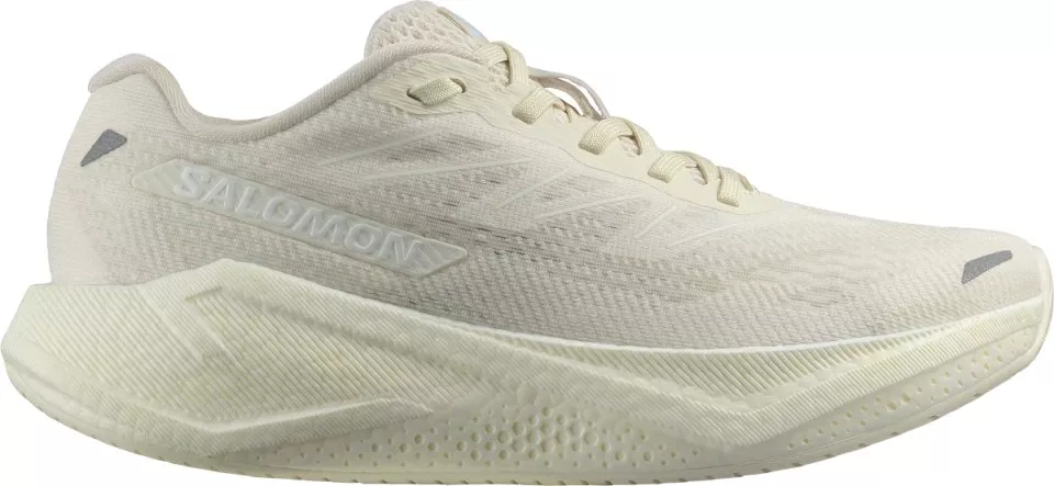 Laufschuhe Salomon AERO BLAZE 3 W