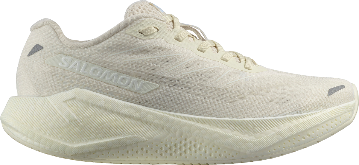 Laufschuhe Salomon AERO BLAZE 3 W