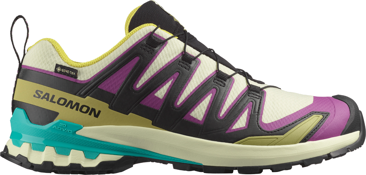 Trailskor Salomon XA PRO 3D V9 GTX