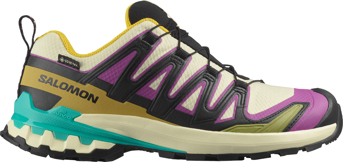 Scarpe per sentieri Salomon XA PRO 3D V9 GTX W