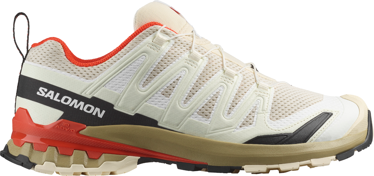 Trail-Schuhe Salomon XA PRO 3D V9