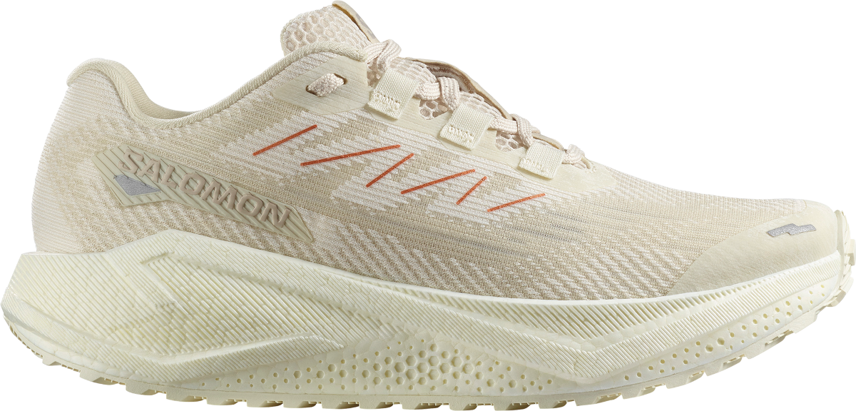 Παπούτσια για τρέξιμο Salomon AERO BLAZE 3 GRVL W
