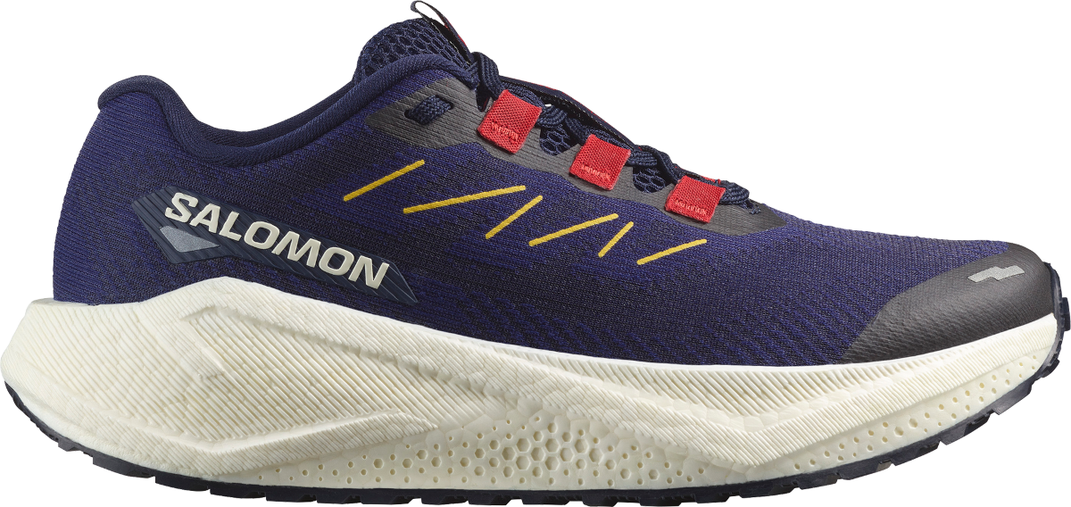 Laufschuhe Salomon AERO BLAZE 3 GRVL