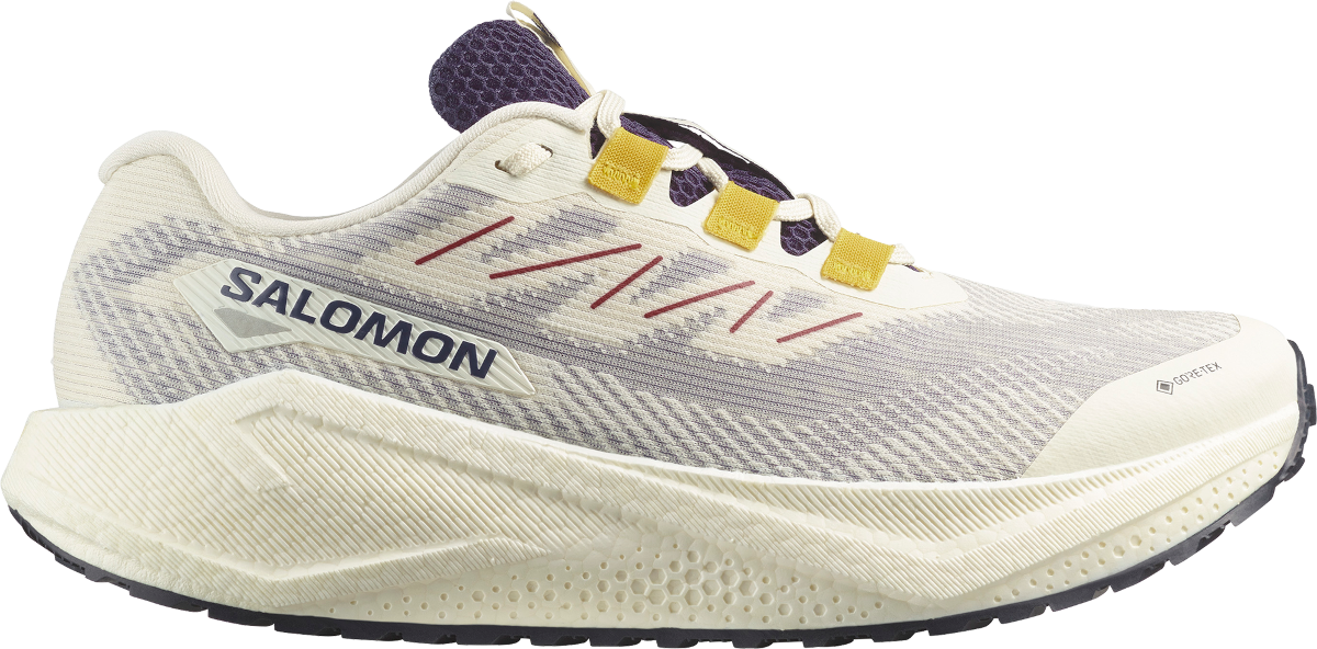 Tekaški copati Salomon AERO BLAZE 3 GRVL GTX