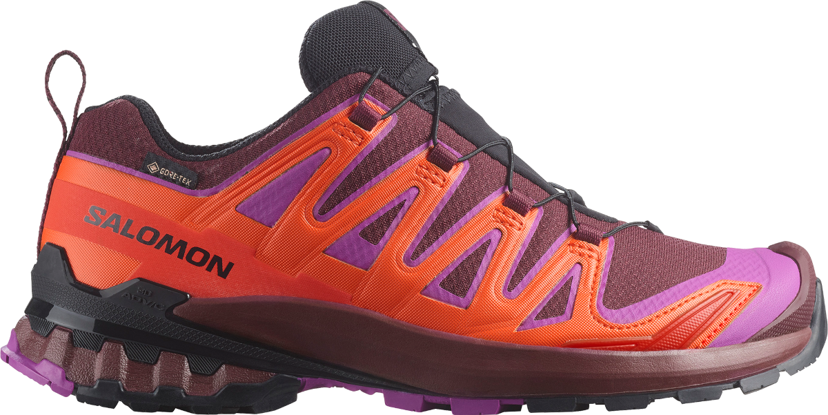 Scarpe per sentieri Salomon XA PRO 3D V9 GTX W