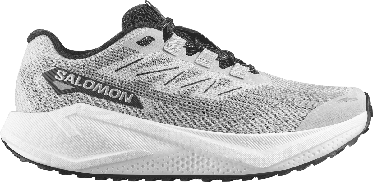 Laufschuhe Salomon AERO BLAZE 3 GRVL