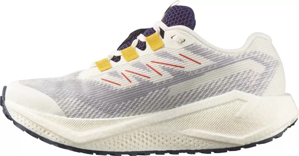 Zapatillas de running Salomon AERO BLAZE 3 GRVL GTX W