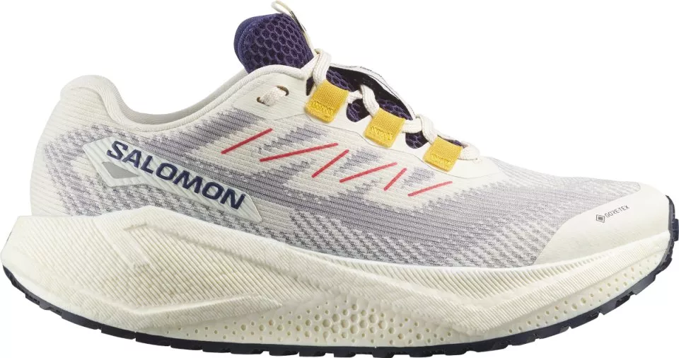 Zapatillas de running Salomon AERO BLAZE 3 GRVL GTX W