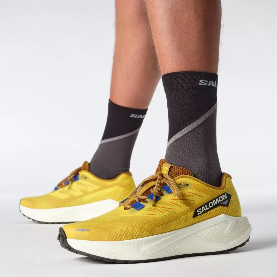 Laufschuhe Salomon AERO BLAZE 3 GRVL
