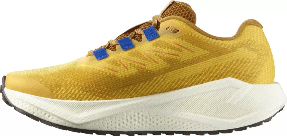 Laufschuhe Salomon AERO BLAZE 3 GRVL