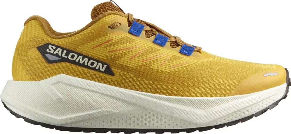 Laufschuhe Salomon AERO BLAZE 3 GRVL