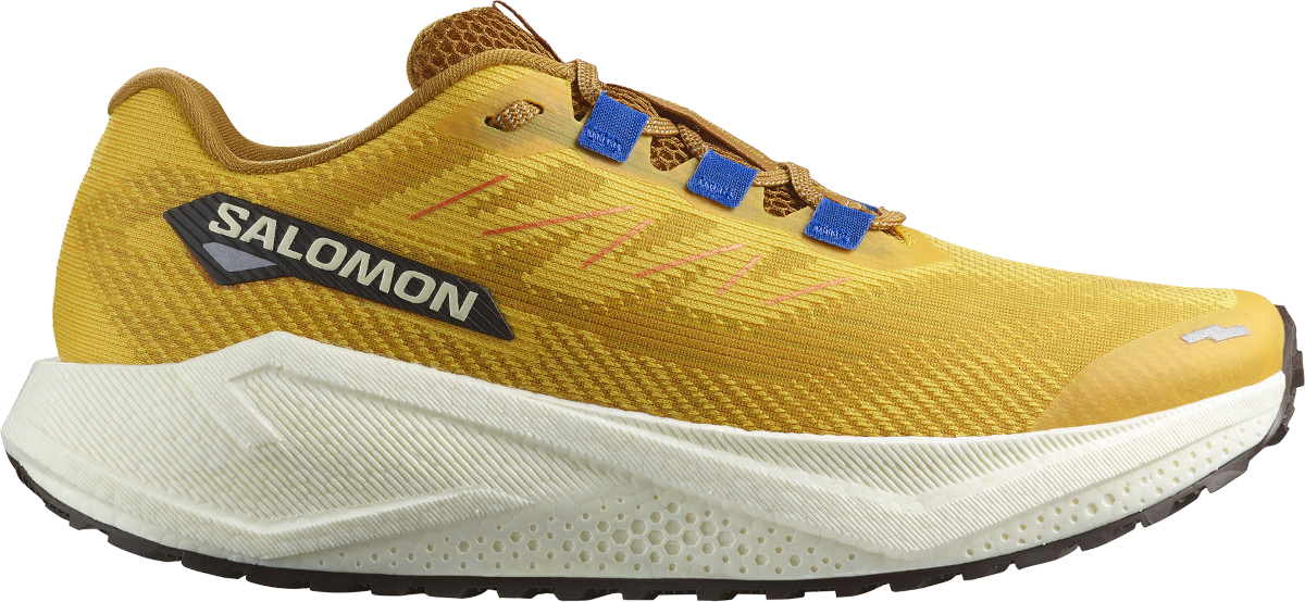 Laufschuhe Salomon AERO BLAZE 3 GRVL