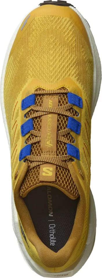 Laufschuhe Salomon AERO BLAZE 3 GRVL