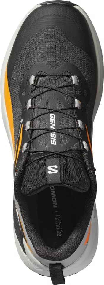 Trail schoenen Salomon GENESIS GTX