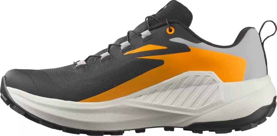 Trail schoenen Salomon GENESIS GTX