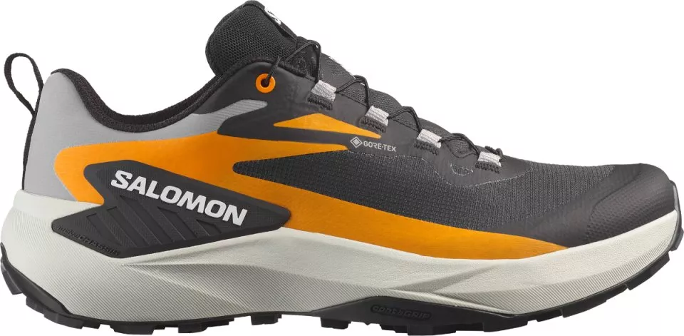 Trail schoenen Salomon GENESIS GTX