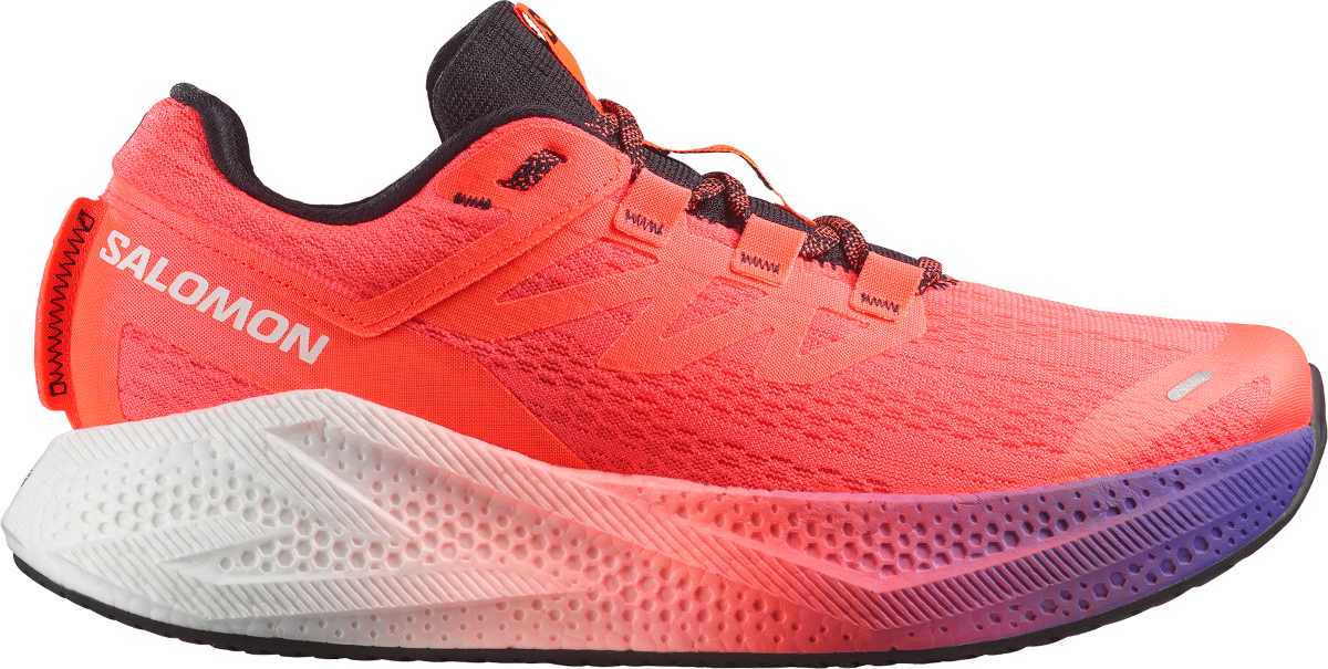 Juoksukengät Salomon AERO GLIDE 3 GRADIENT