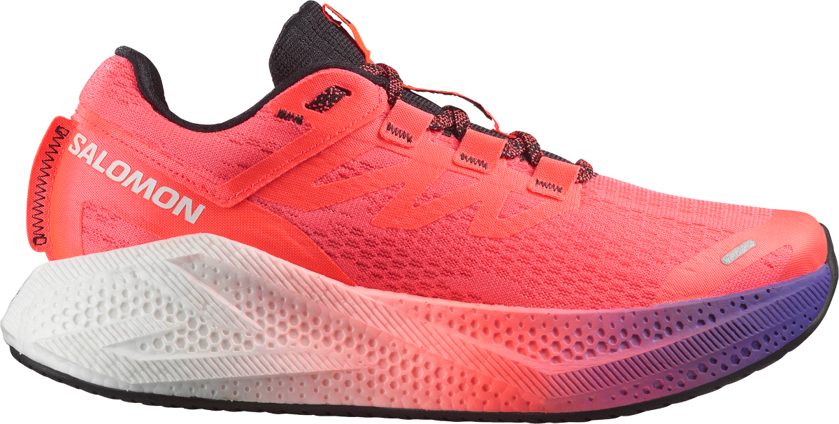 Tenisice za trčanje Salomon AERO GLIDE 3 W GRADIENT