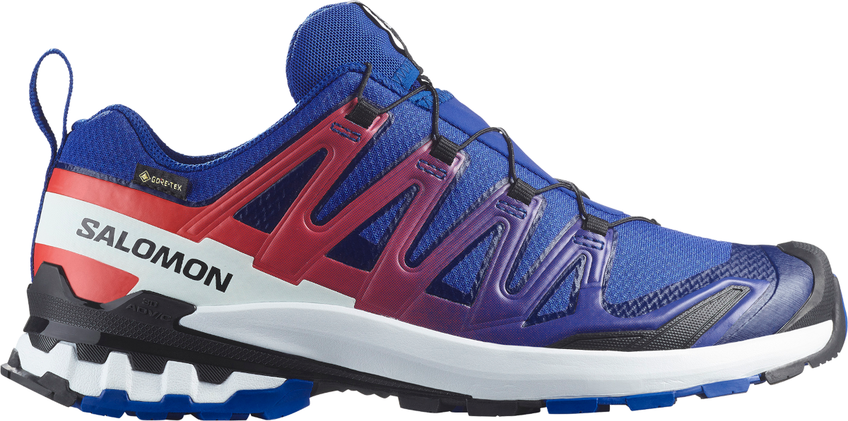Trailskor Salomon XA PRO 3D V9 GTX EQUIPE