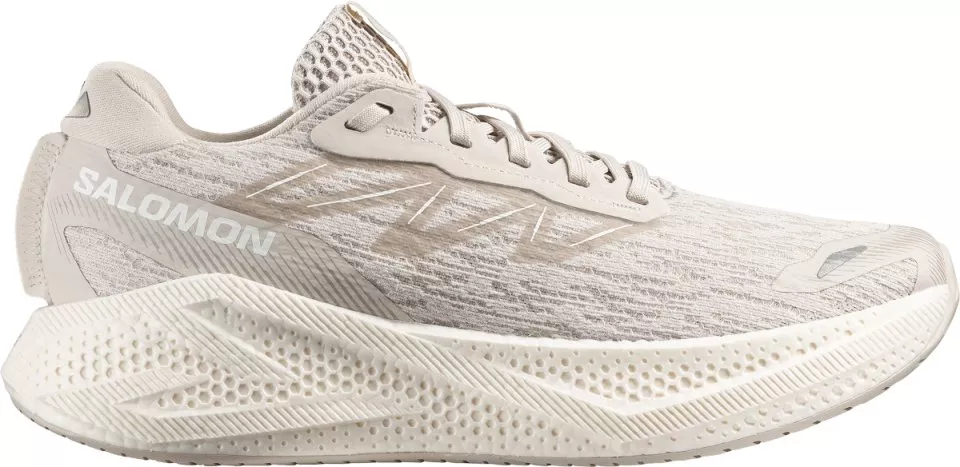 Laufschuhe Salomon AERO GLIDE 4