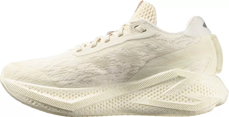 Laufschuhe Salomon AERO GLIDE 4 W