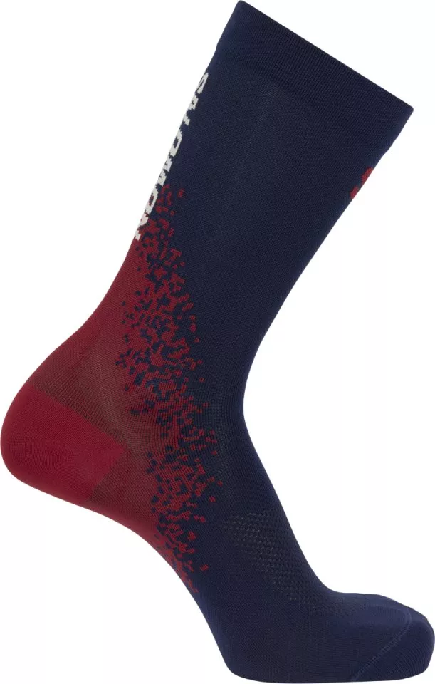 Socken Salomon GRVL CREW